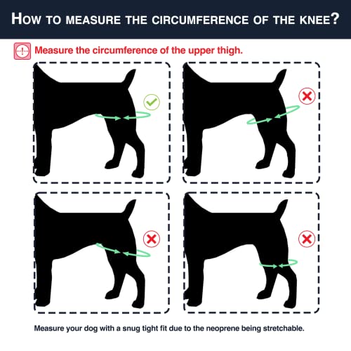 Image of Dog Knee Brace with Harness and Connection Belt, Lightweight and Stretchable, Support for Torn ACL Hind Leg, Luxating Patella, Reduces Arthritis Pain and Inflammation (X-Small)