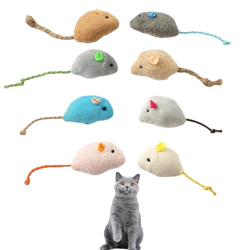 Lifetips ueBbVV[gwA British Shorthair Lp lY~ʂ 8Zbg qL L V XgXU ^s ӂӂf L炵  ybgObY