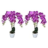 AMERIQUEペア2フィート人工人工ブルーミングパープルラン植物育苗ポット付き、リアルタッチテック。