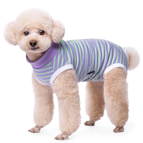 Combinaison de stérilisation pour chiot et chien mâle ou femelle