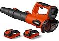 Leaf Blower, 21V Cordless Electric Blower with 2 2.0Ah Batteries and 1 Hour Fast Charger, Lightweight Leaf Blower for Patio Cleaning, Lawn Care, Blowing Fallen Leaves and Dust, etc.
