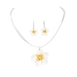 Hawaiian Plumeria Rubra Earrings Necklace Set Bohemia Tropical Flower Dangle Earrings Luau Beach Party Accessories for Women Jewelry