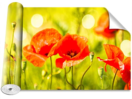 Papier peint coquelicots Tulup intissé pose facile 312cm - 2