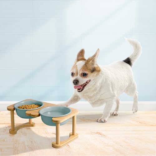 SPUNKYJUNKY Futterstation Hund Erhöht Hundenapf Keramik Erhöhter Futternapf für Hunde und Katzen (800ml, Dunkelgrün)