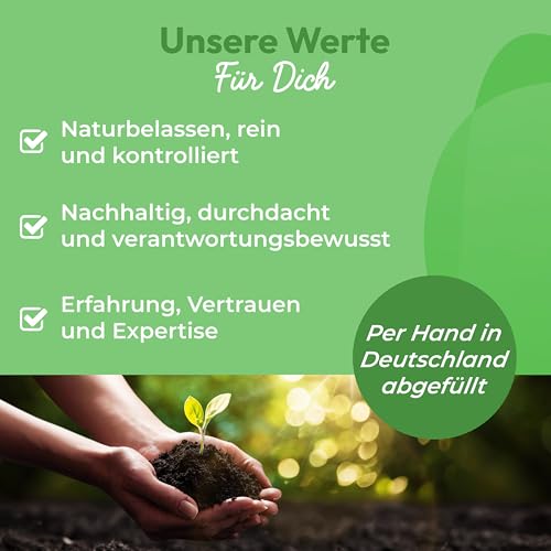 Curly Superfood Spirulina Pulver Bio 500g - 100% naturreine BIO Rohkostqualität - Fein gemahlenes Bio Spirulina Pulver für Smoothies, Säfte & Speisen