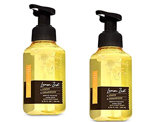 Bath & Body Works Aromatherapy Gentle Foaming Hand Soap in Lemon Zest (2 Pack)
