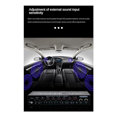Égaliseur paramétrique de voiture EQ-819 filtre audio multifonction