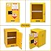 PXVWA 10 Gal Flammable Safety Cabinet, 23