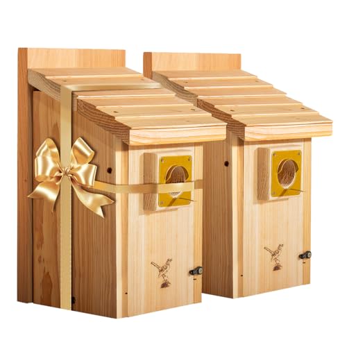 XXXLL Heavy Duty Cedar Bluebird House