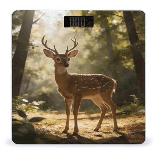 Báscula Digital de Baño RLDOBOFE de Vidrio Templado