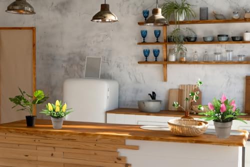 Plante simulation tulipe pour apporter douceur et verdure a la maison