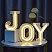 GUOCHENG 1 Pack 3pcs Joy Set LED Neon Light Sign Alphabet LED Night Light Free Standing Neon Letters Wall Decorative Marquee Sign Ornaments for Home Bedroom Nursery Christmas