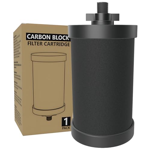 2387 Pro Filter for Alexapure Pro – Neefoir (Black)