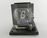 Durée de vie de la lampe : 2000 (normal) / 3000 (économie) heures Protection de l'utilisateur : 150 jours de garantie inclus.