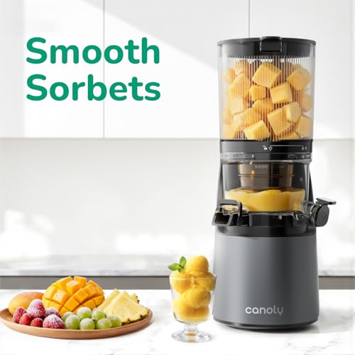 Masticating Juicers accessory