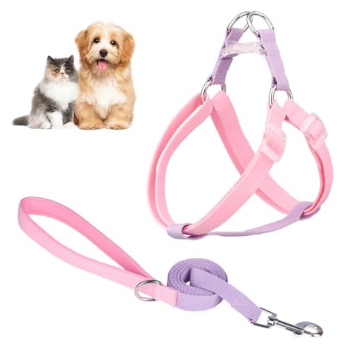 SamHeng Coloré Harnais et Laisse pour Chat, Réglable Collier de Sangle pour Animaux avec Laisse, Corde de Sécurité d'évacuation Sangle de Poitrine pour Chaton Chien Lapins De Plein Air Marche, B
