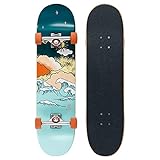 BTFL Mini-Cruiser Skateboard Marvin, 8 x 31.75 Cruiser Longboard mit ABEC 9 Kugellager für Anfänger und Fortgeschrittene, Geschenke für Mädchen und Jungs, Kinder, Erwachsene