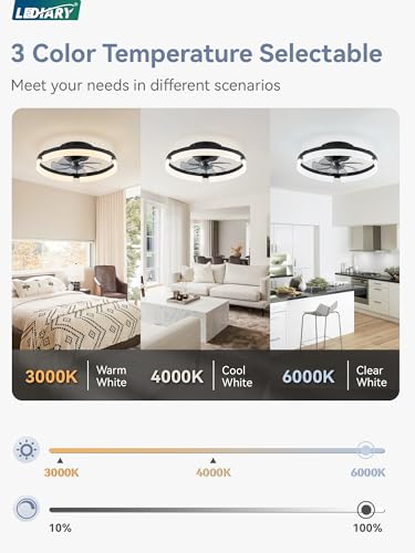 LEDIARY Low Profile 19.7 Inch Ceiling Fan with Light & Remote, 6 Speeds & Dimmable, Black