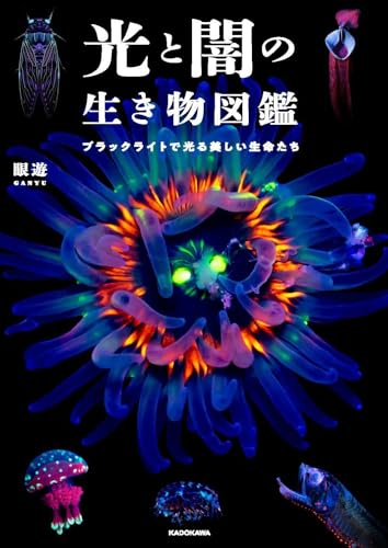 【Amazon.co.jp 限定】光と闇の生き物図鑑 ブラックライトで光る美しい生命たち（特典：ポストカード１枚付き）