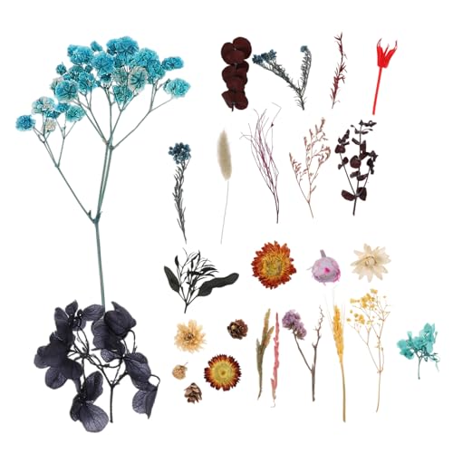 Flores secas para manualidades PRETYZOOM assorted pack