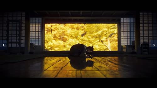 Jeu Ps5 Ghost Of Tsushima Director' Cut Sony - vue 6