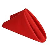 AHOLTA DESIGN Stain Resistant Polyester Cloth Dinner Red Cloth Napkins 17 in Non Iron Spring Patio D