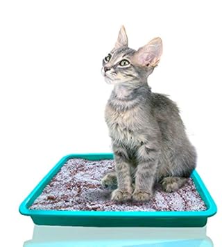 Mats Avenue Naturally Extracted Cat Litter Soil for Filling Cat Litter Tray Chemical Free 5 KG