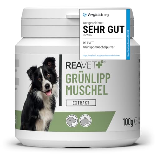 TESTURTEIL SEHR GUT 2026 ReaVET Grünlippmuschel Extrakt Pulver 100g für Hunde & Katzen | Grünlippmuschelpulver Hund hochdosiert | nach behandelter Arthrose Arthritis