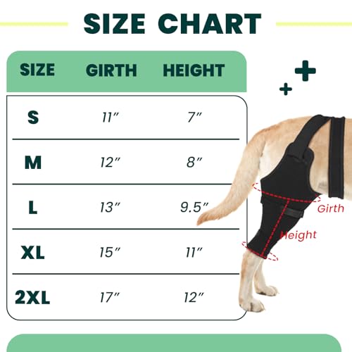 Image of Dog Rear Leg Sleeve to Stop Licking, Hind Leg Protector for TPLO Recovery, ACL Surgery, Wounds or Skin Issues, Soft Breathable Cover for Large Medium Small Dogs (2XL-,Right)