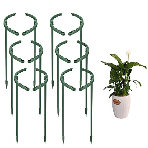 B# Supporto per stent per piante rampicanti da parete con clip in
