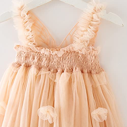 Toddler Girls Tulle Dress Sleeveless Princess Dress with Butterfly Elegant Strap Mesh Fluffy Flower Casual Tutu Dresses4