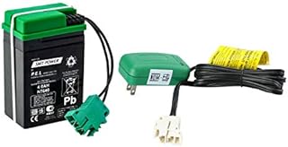 6V 4Ah Battery and 6 Volt Charger Cambo Set for Peg Perego Choo Choo Express Train IGED1116 / Ducati 1098 IGED0913 / for JohnDeere E-Tractor IGED1062 Children Ride On Car