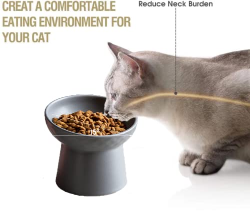 Kitchenlestar Small Ceramic Raised Cat Bowls, Tilted Elevated Food Or Water Bowls, Stress Free, Backflow Prevention, Dishwasher And Microwave Safe, Lead & Cadmium Free(Grey) #TOP2