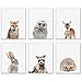 Crystal Baby Woodland Animals Poster Prints - Set of 6 (8x10) Adorable Furry North American Portraits Wall Art Nursery Decor - Owl - Deer - Bunny - Raccoon - Hedgehog - Fox