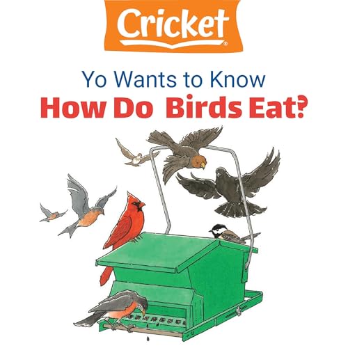 Yo Wants to Know: How Do Birds Eat? - Lea Daniel episode artwork