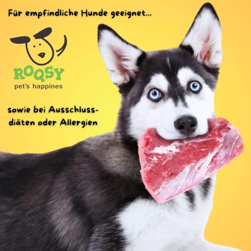 ROQSY Natur-Dörrfleisch 100% Ziege – Single-Protein, getreidefrei, ohne Zusätze, schonend getrocknet, ideal für Allergiker und Sensible Mägen, Made in Germany – 100g