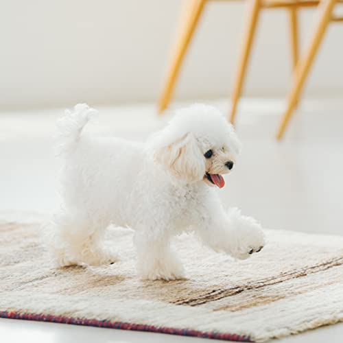Nature’s Protection Superior Care White Dogs Grain-Free Dental Dog Treats, Soft and Moist Supplemental Snacks with White Fish, Pack of 5 Nature’s Protection Superior Care White Dogs Grain-Free Dental Dog Treats, Soft and Moist Supplemental Snacks with White Fish, Pack of 5