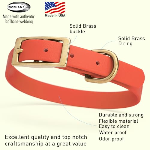 Image of Viper Biothane Heavy Duty Waterproof Dog Collar Strong Coated Nylon Webbing w /Solid Brass Hardware Odor-Proof Easy to Clean High Performance Fits Small Medium or Large Dogs, Coral