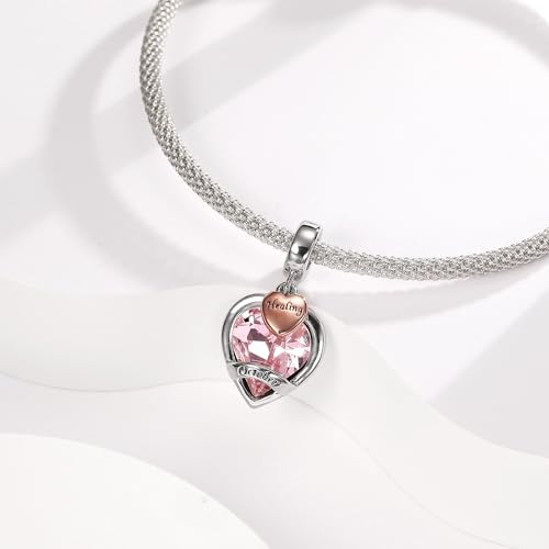 Birthstone Charms for Women Bracelets Birthday Bead Charms for Pandora Bracelets and Necklace Jewelry Gifts for Women2