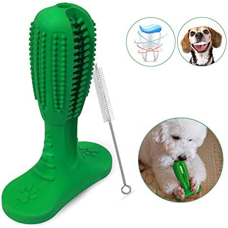 Popetz Dog Toothbrush Stick Dog Brushing Stick for Medium and Large Dogs Pets Dental Care with Small Cleaning Brush (Green)