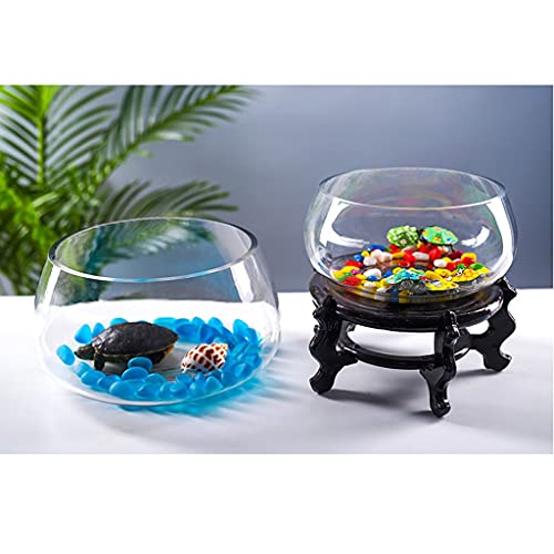 Aquarium de bureau compact pour initier les enfants
