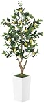 5FT Artificial Lemon Tree with Pot - 60" Fake Lemon Tree with White Tall Planter, Faux Lemon Plant with Realistic Fruits and Silk Leaves, Artificial Plants Indoor for Home Office Kitchen Decor