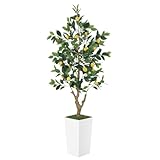 PHYTREE 5FT Artificial Lemon Tree with Pot - 60' Fake Lemon Tree with White Tall Planter, Faux Lemon Plant with Realistic Fruits and Silk Leaves, Artificial Plants Indoor for Home Office Kitchen Decor