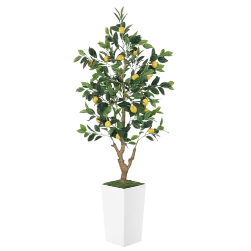 PHYTREE 5FT Artificial Lemon Tree with Pot - 60" Fake Lemon Tree with White Tall Planter, Faux Lemon Plant with Realistic Fruits and Silk Leaves, Artificial Plants Indoor for Home Office Kitchen Decor
