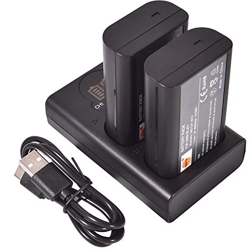 DSTE DMW-BLJ31 DMW-BLJ31E Batterie de rechange + double chargeur USB avec écran LCD Compatible avec Panasonic LUMIX S1, LUMIX S1R, LUMIX S1H, DMW-BGS1R