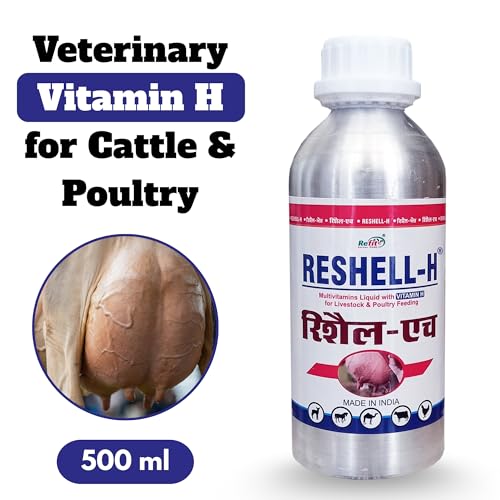 Image of REFIT ANIMAL CARE Veterinary Vitamin H Supplement for Cow, Cattle, Goat, Chicken, Layers, Broilers, Poultry and Other Livestock Animals, 500 ml, Reshell H
