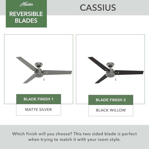 Image of Hunter Cassius, Outdoor or Indoor, Ceiling Fan, 52 inch, Matte Silver