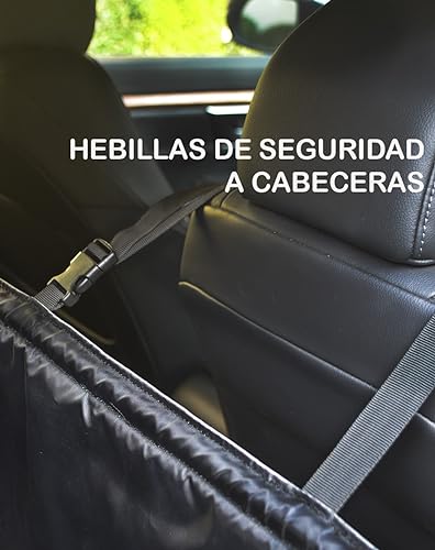 Mascotas, Imagen adicional