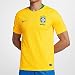 NIKE 2018-2019 Brazil Home Football Shirt, Yellow, Large