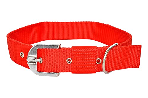 Image of Dog Export Quality Nylon Easy to Control Buckle Everyday Neck Collar Belt and Hand Weaved Durable Training Rope Leash Set (RED)